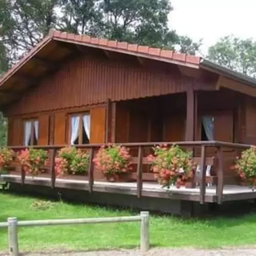 rumah kayu untuk hunian alami